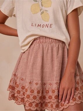 Gingham Lace-Trim Mini Skirt - Cream & Brown